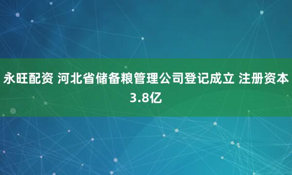 永旺配资 河北省储备粮管理公司登记成立 注册资本3.8亿