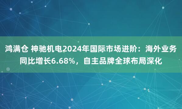 鸿满仓 神驰机电2024年国际市场进阶：海外业务同比增长6.68%，自主品牌全球布局深化