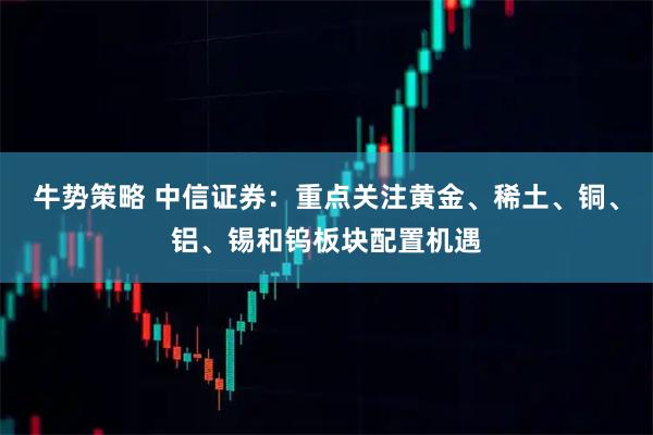 牛势策略 中信证券：重点关注黄金、稀土、铜、铝、锡和钨板块配置机遇