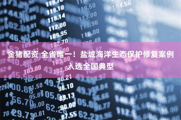 金猪配资 全省唯一！盐城海洋生态保护修复案例入选全国典型