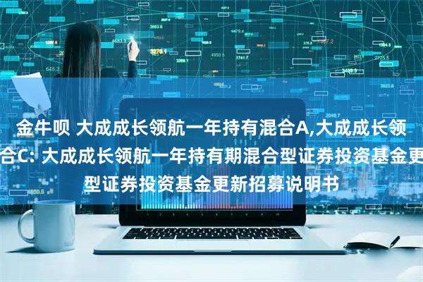 金牛呗 大成成长领航一年持有混合A,大成成长领航一年持有混合C: 大成成长领航一年持有期混合型证券投资基金更新招募说明书