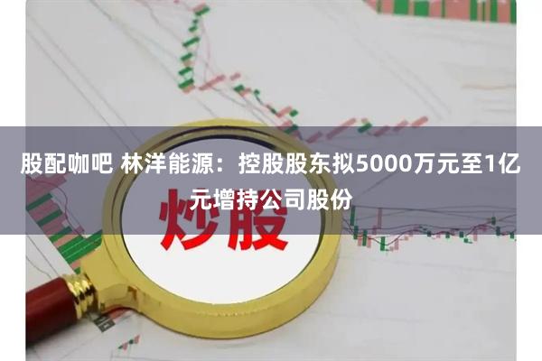 股配咖吧 林洋能源：控股股东拟5000万元至1亿元增持公司股份