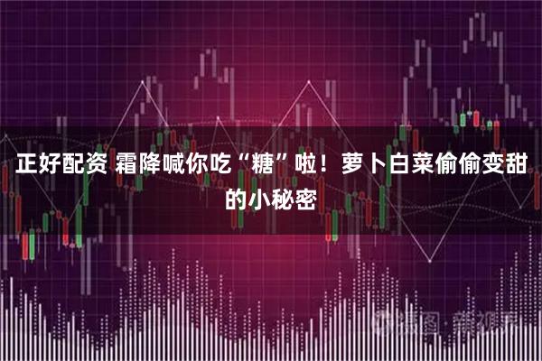 正好配资 霜降喊你吃“糖”啦!萝卜白菜偷偷变甜的小秘密